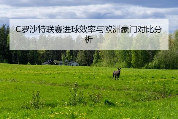 C罗沙特联赛进球效率与欧洲豪门对比分析