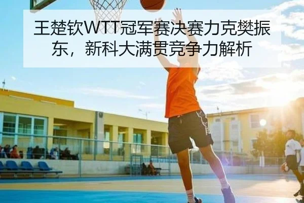 王楚钦WTT冠军赛决赛力克樊振东，新科大满贯竞争力解析